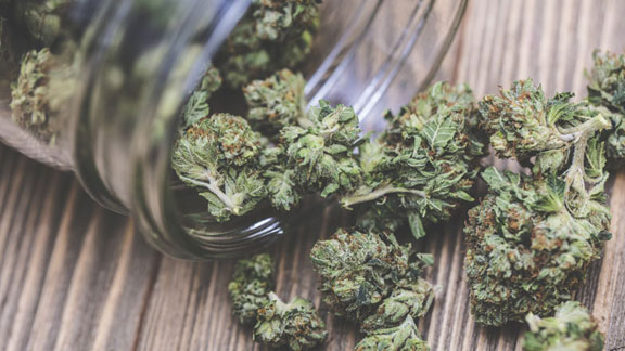 illinois decriminalizes possession of small amounts of cannabis